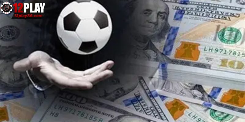 Tải App 12PLAY Trải Nghiệm Game Mượt Mà Không Gián Đoạn 4 Các bước sử dụng app tối ưu