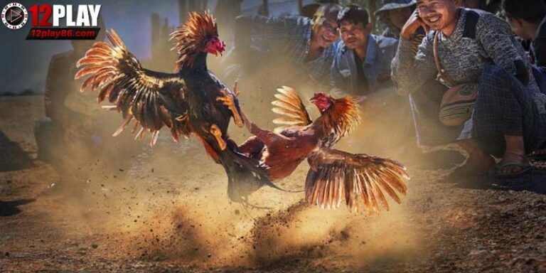 Đá gà cựa sắt