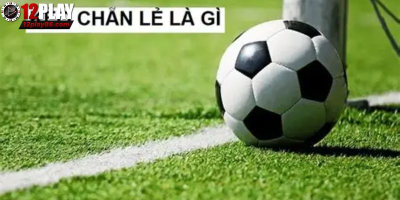 Bí Quyết Phân Tích Kèo Chẵn Lẻ Dễ Thắng Mỗi Trận Đấu 2 Những phiên bản phổ biến được bet thủ lựa chọn