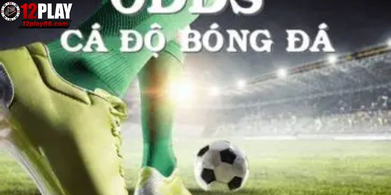 Cách Tăng Cơ Hội Thắng Qua Odds Trong Bóng Đá 1 Sơ lược về odds trong bóng đá