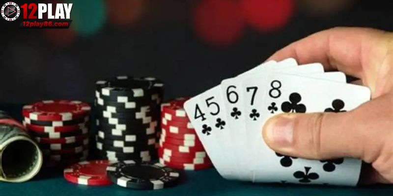 Sức hút đặc biệt 12PLAY